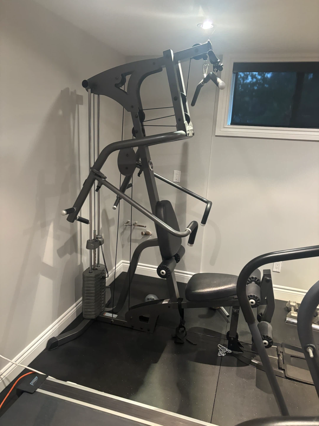 Home gym - photo 2