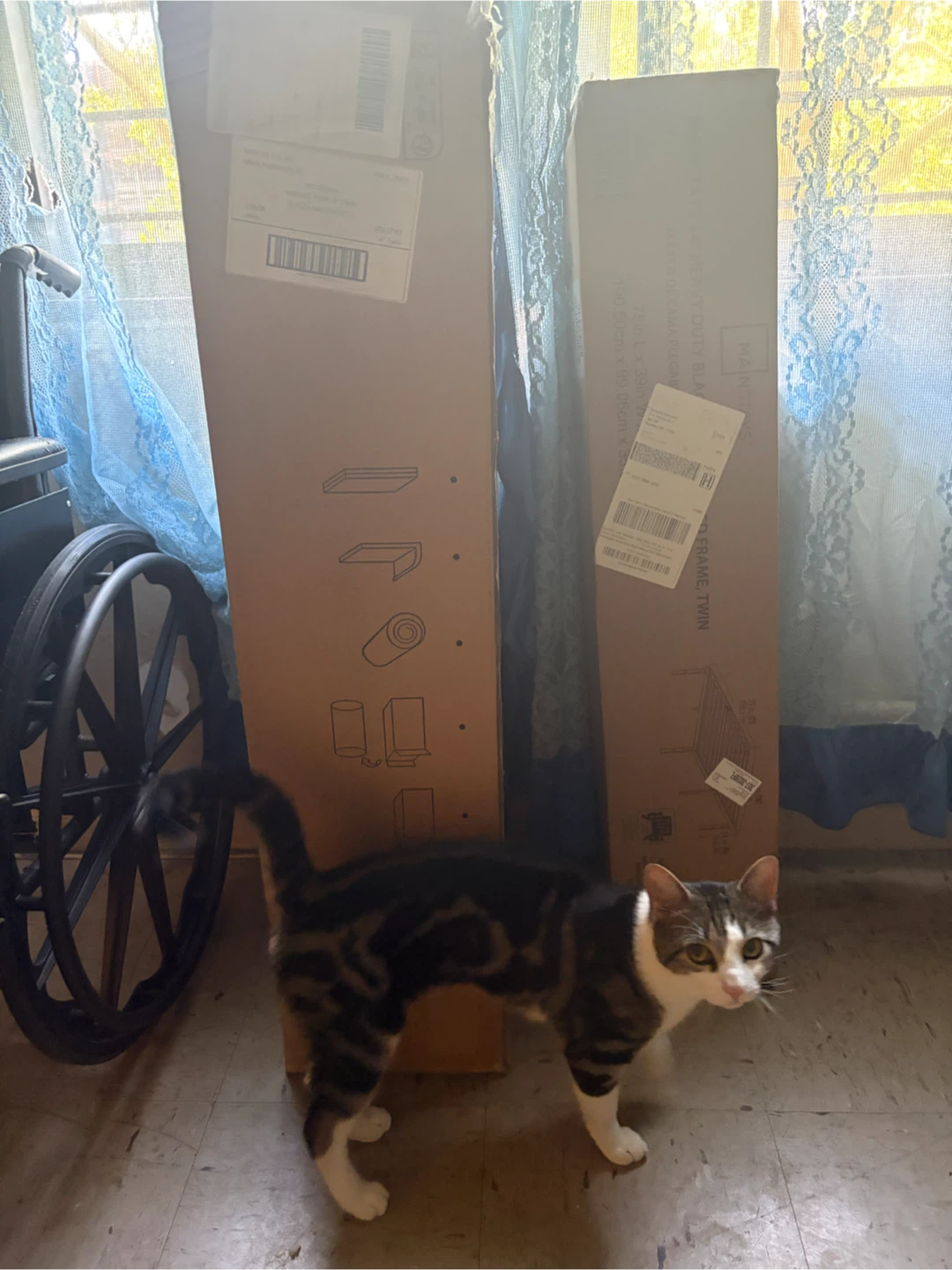 Twin size frame AND mattress
