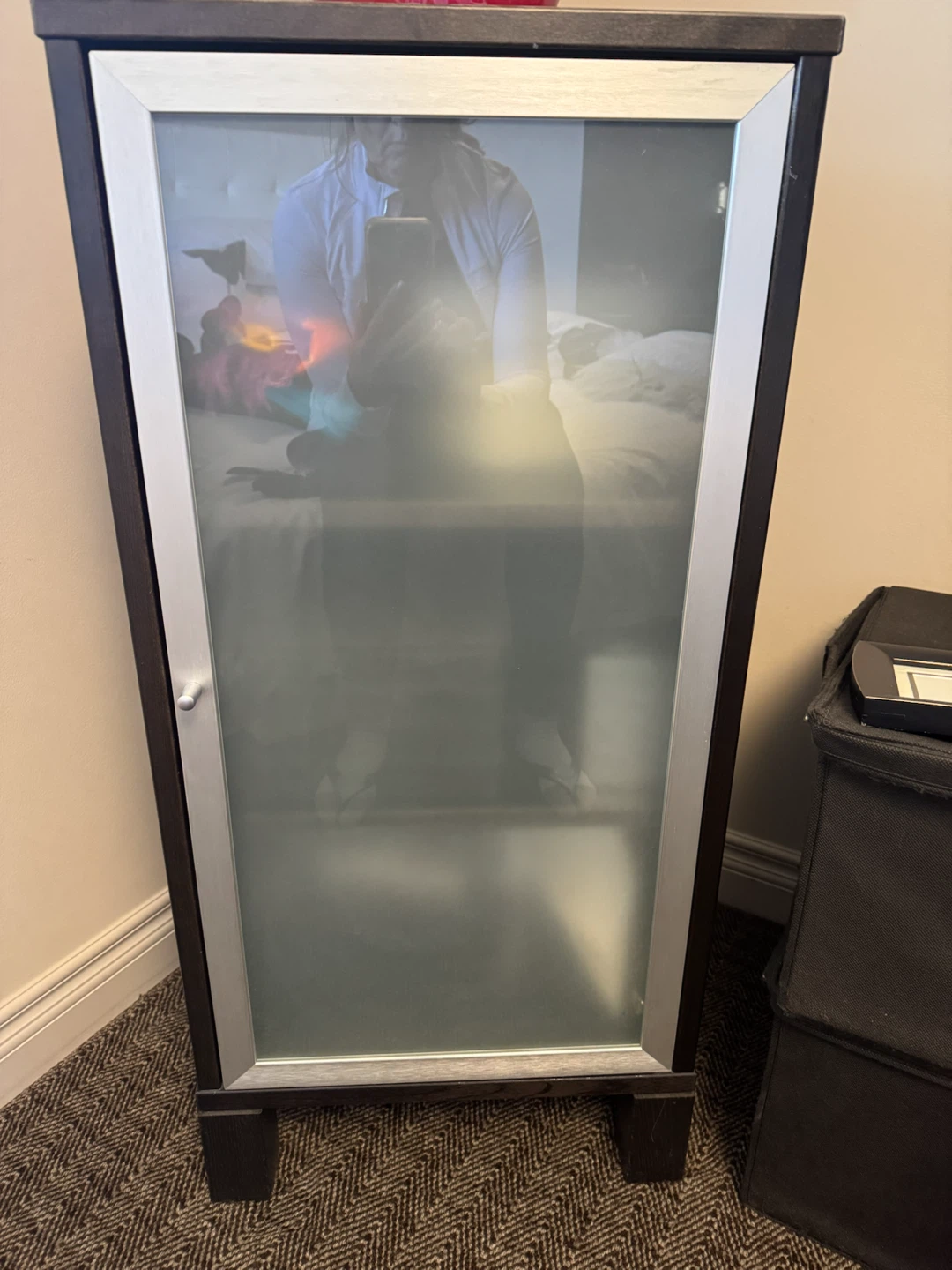 Dark Wood Cabinet with Frosted Glass Door