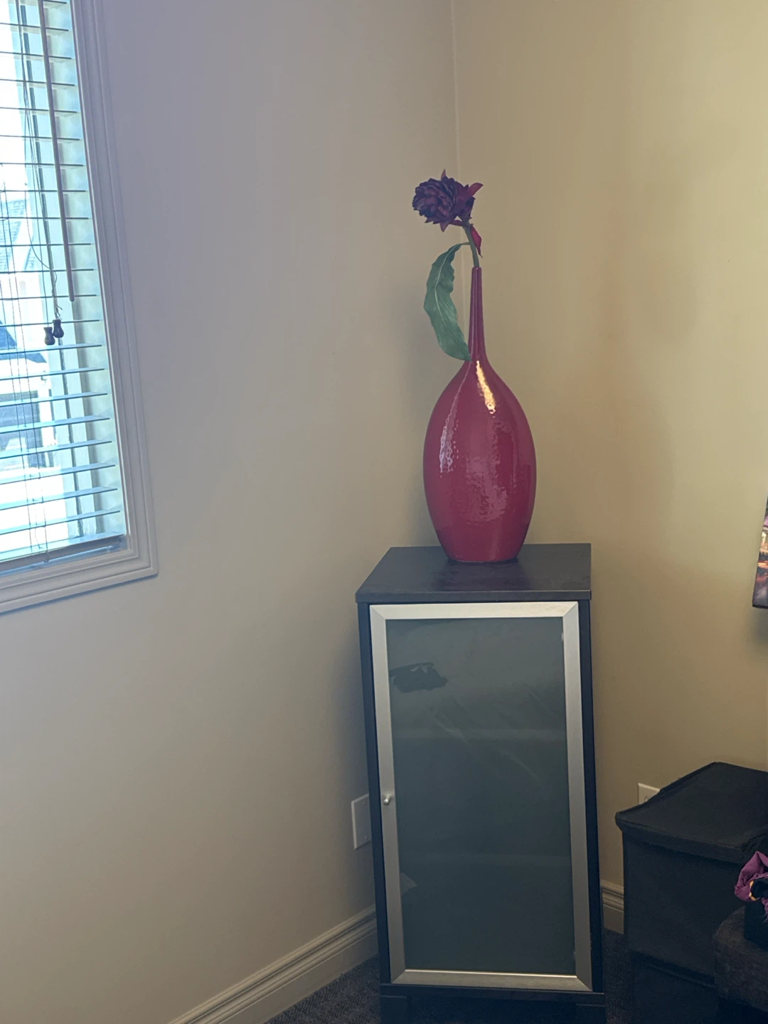 Dark Wood Cabinet with Frosted Glass Door - photo 3