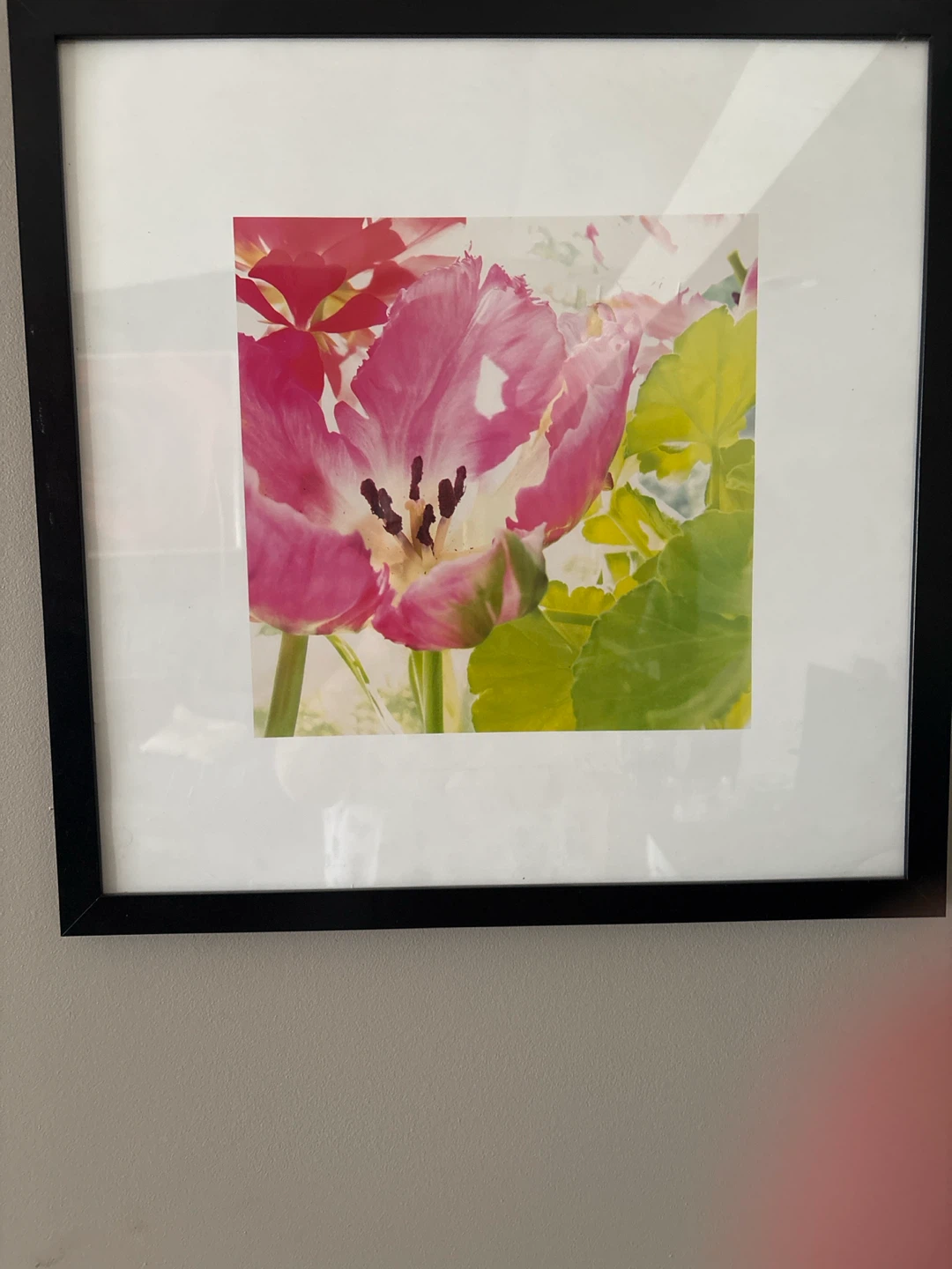 Framed Floral Art Print
