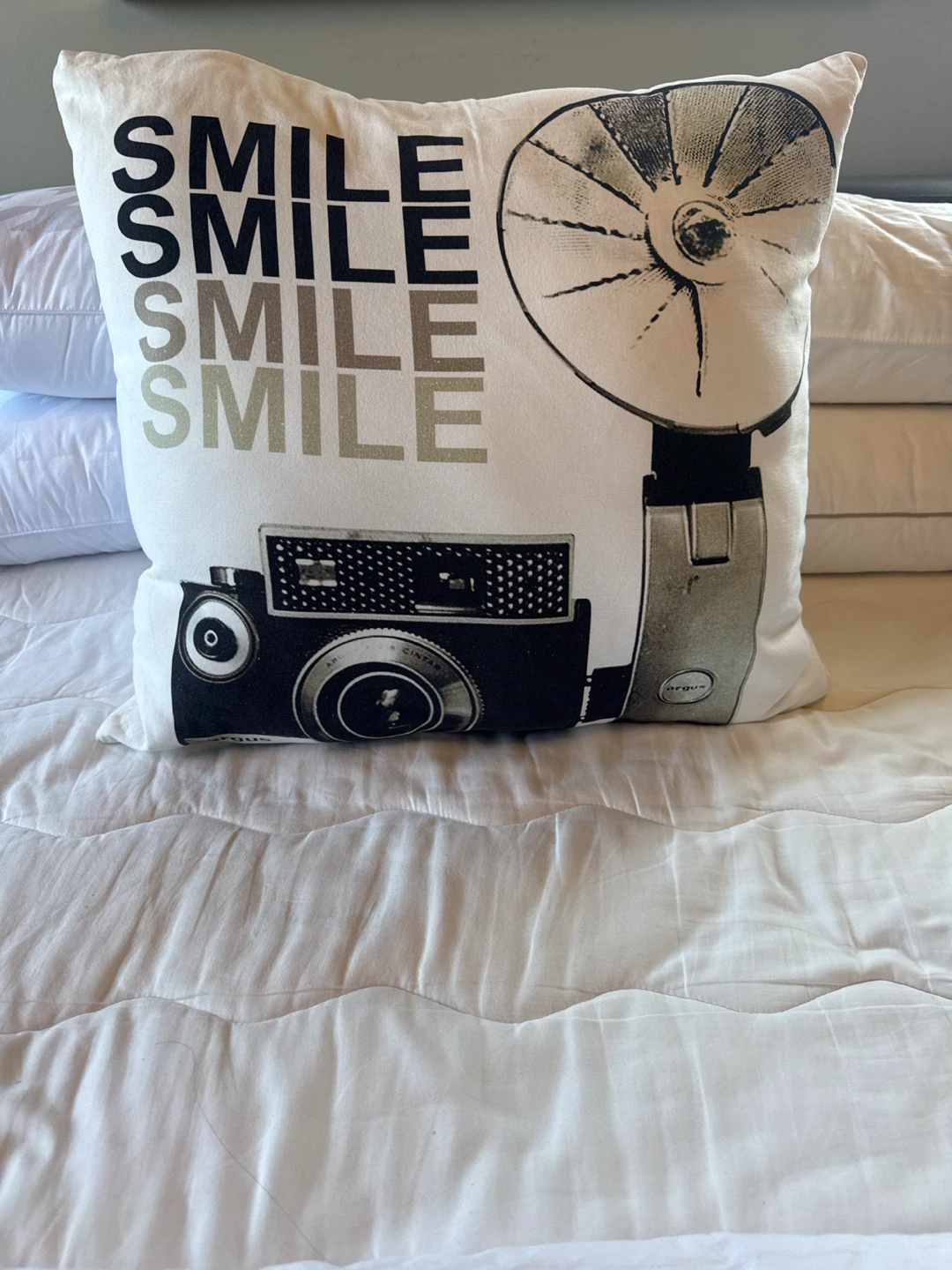 Decorative Throw Pillow