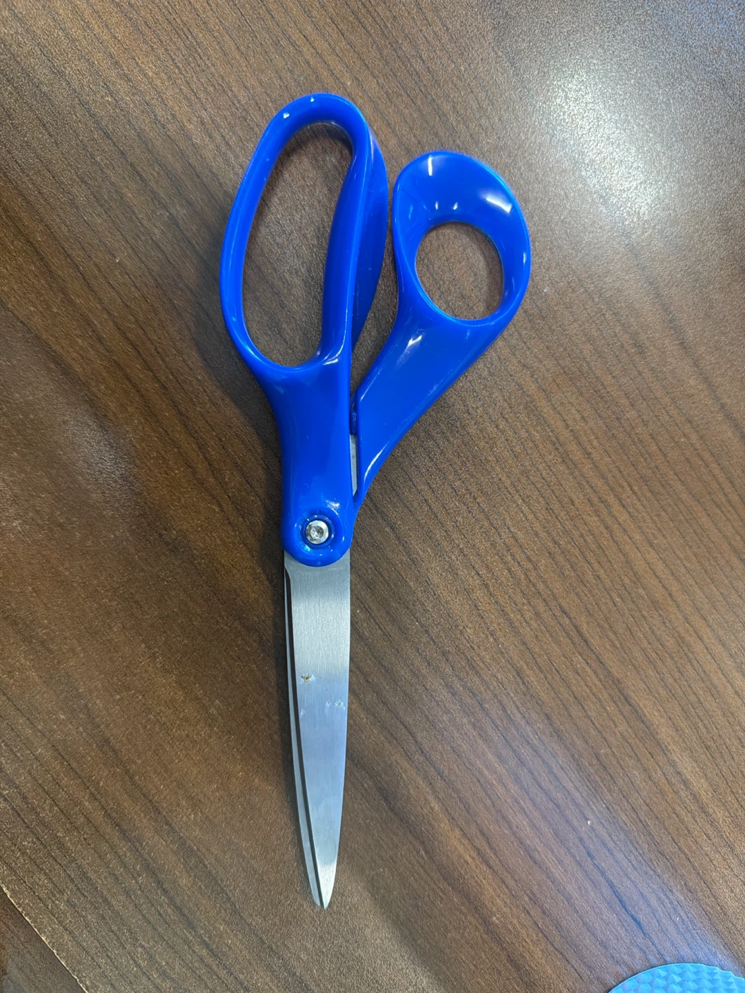 Blue handle scissors