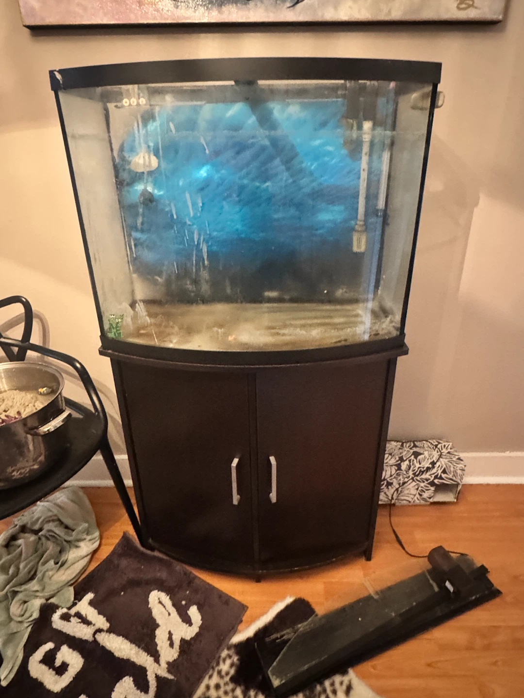 FREE fish tank!!!