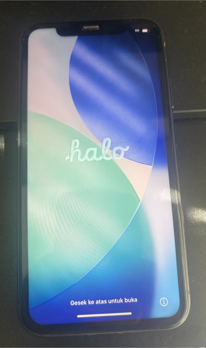 Apple iPhone 11
