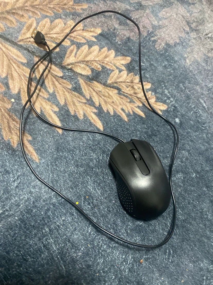 Mouse