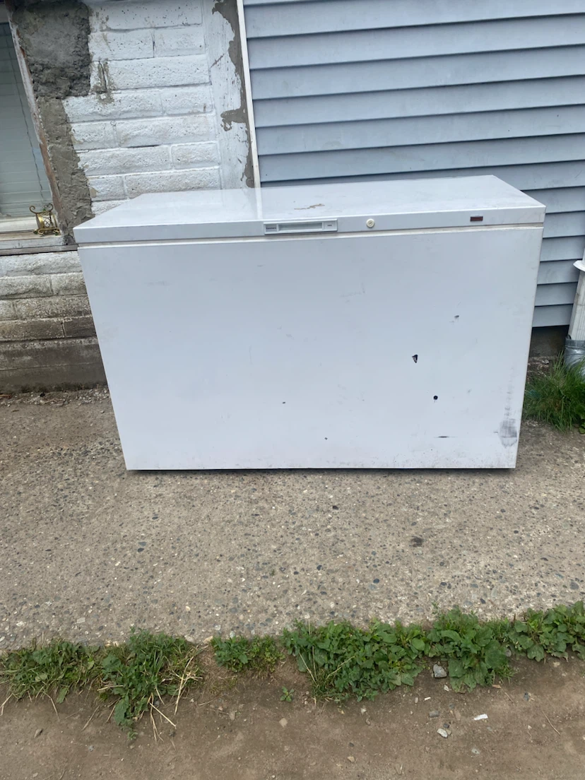 White Chest Freezer