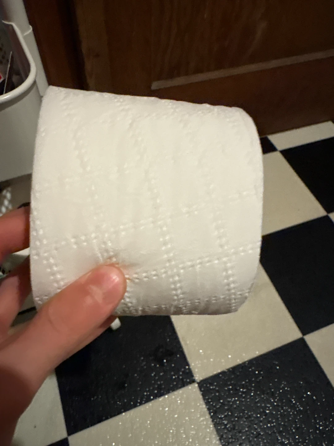 The best toilet paper ever