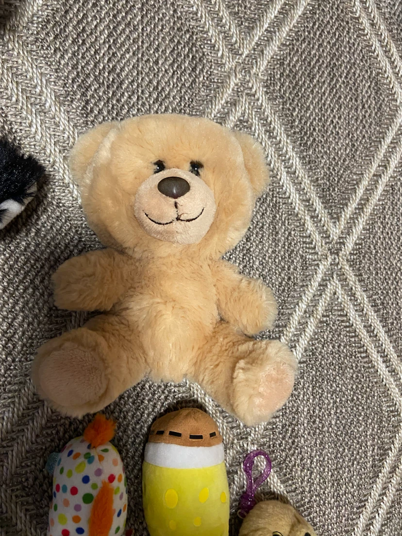 Collection Plush Toys/Keychains - photo 5