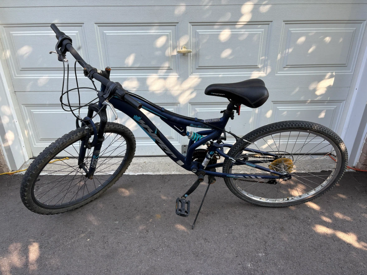 Blue Mountain Bike