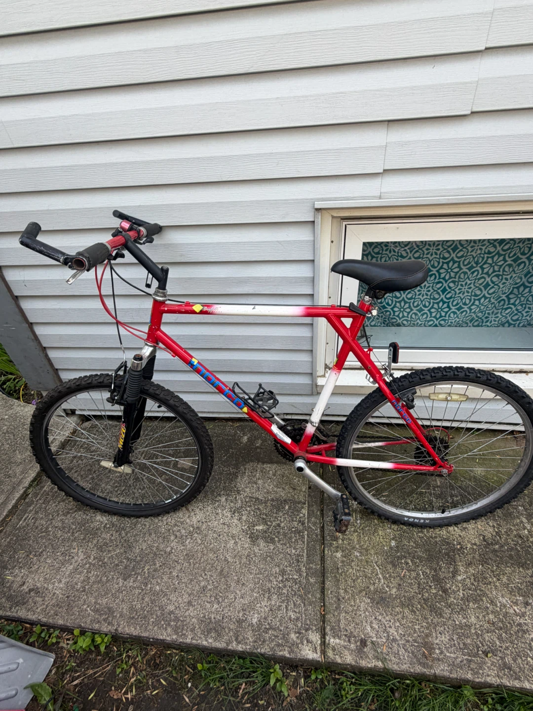 Adult bike