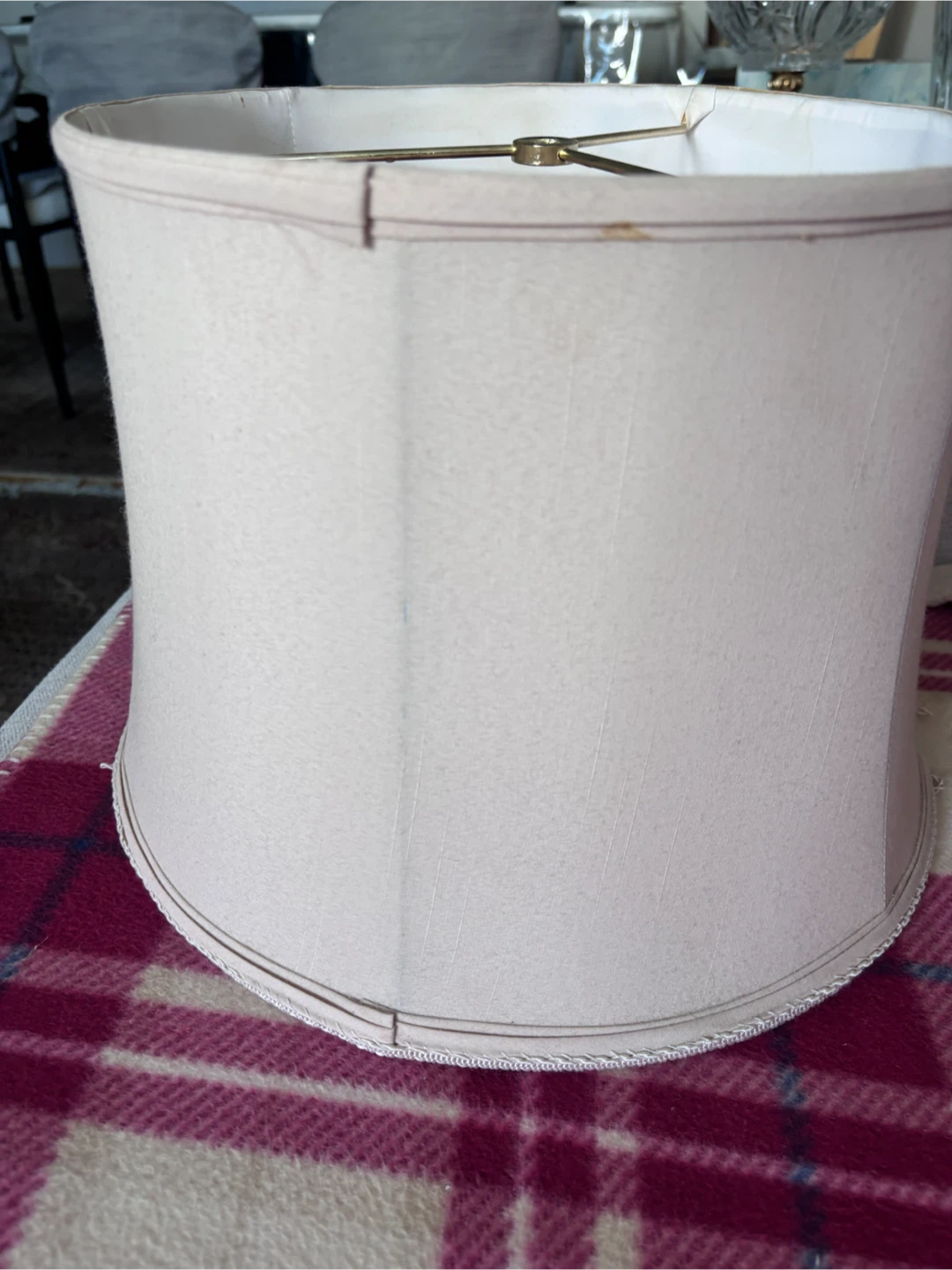 Lampshade with Fringe and Plaid Interior