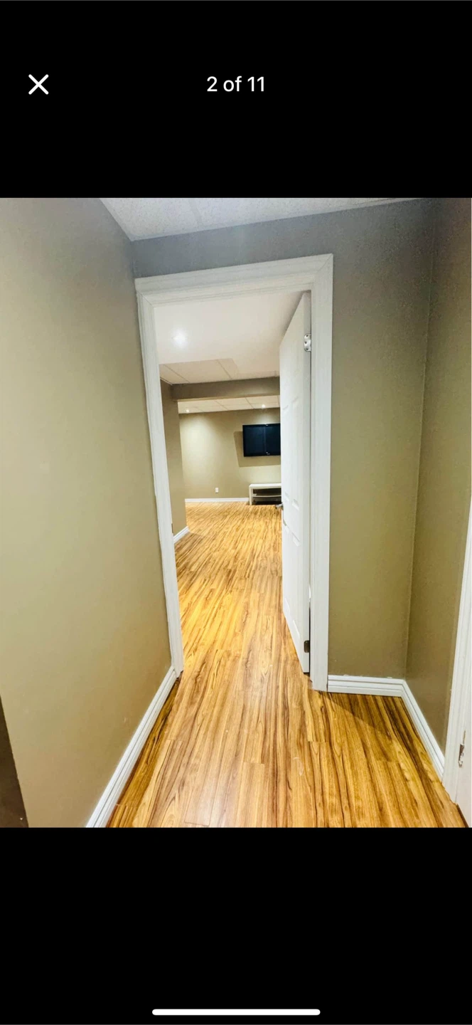 Studio basement for rent