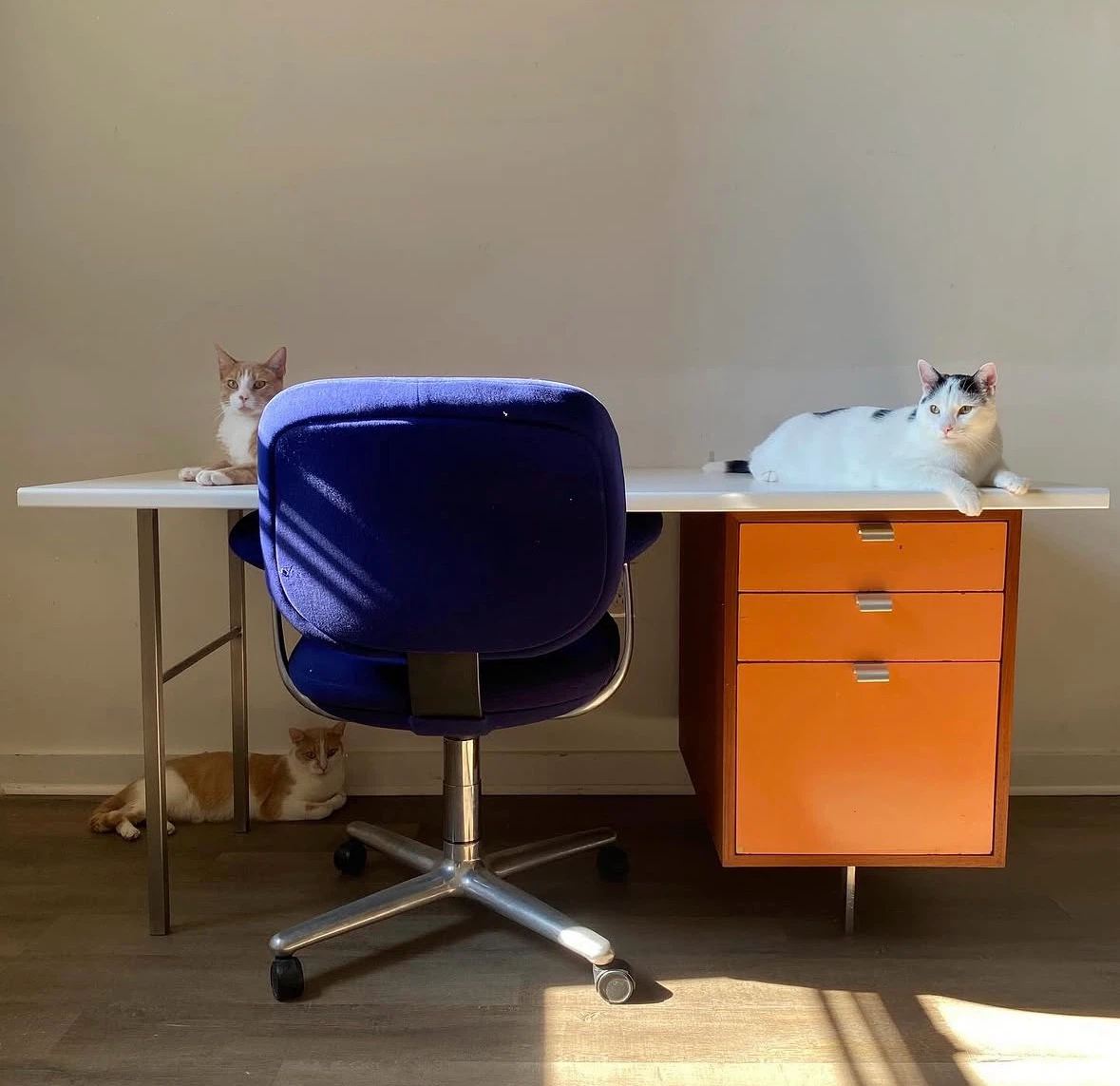 Vintage Herman Miller Chair - photo 2
