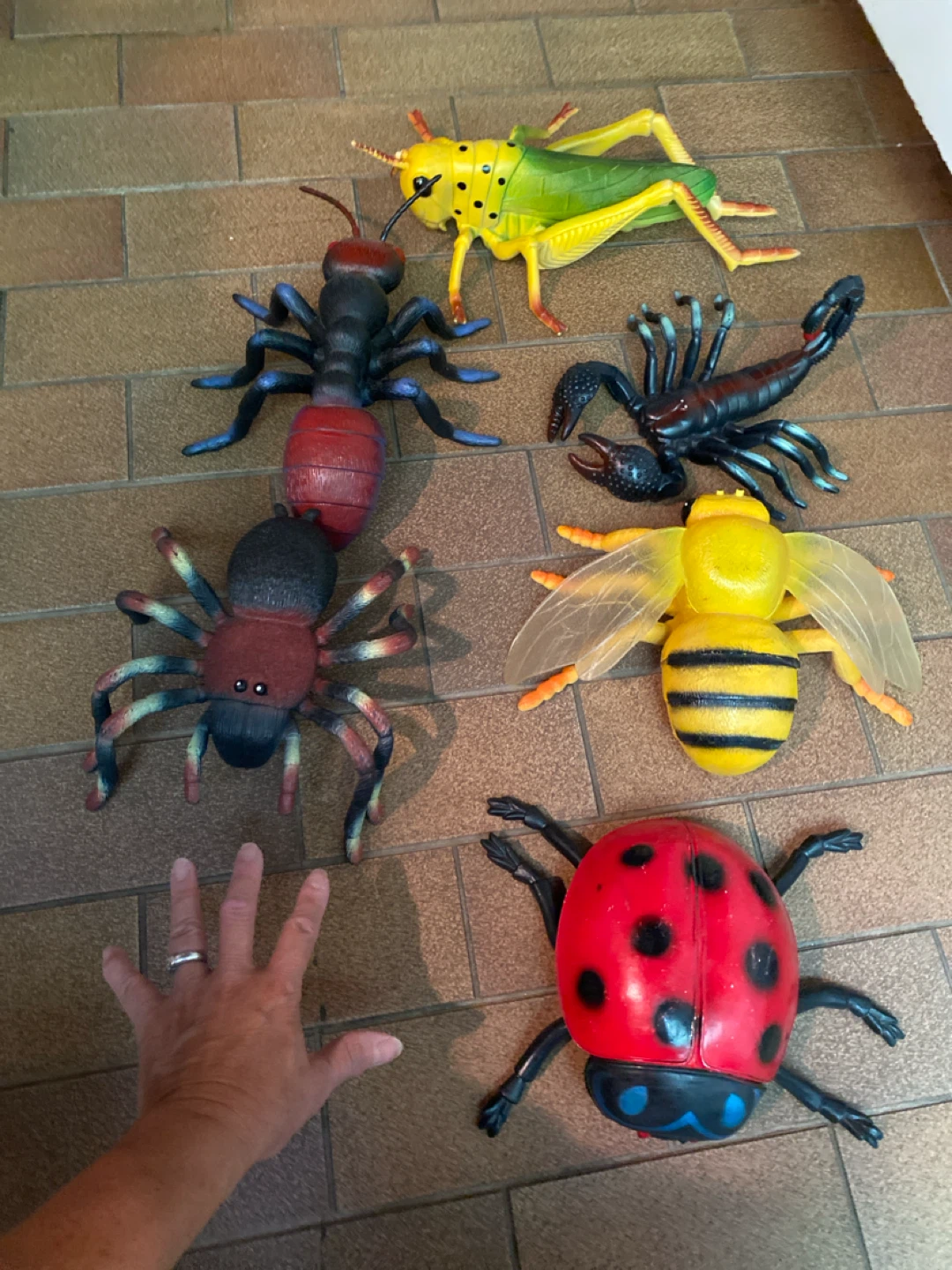 Toy Insect Collection