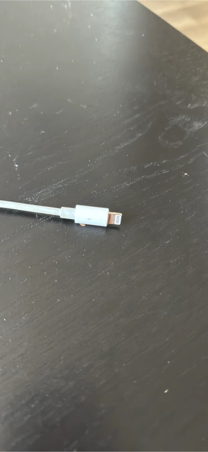 Apple Lightning Digital AV Adapter - photo 3