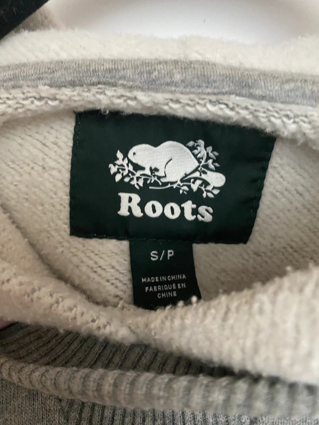Roots Grey Hoodie - photo 3