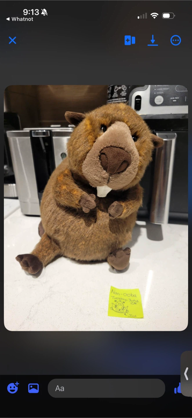 Jellycat Canadian cuties bundle