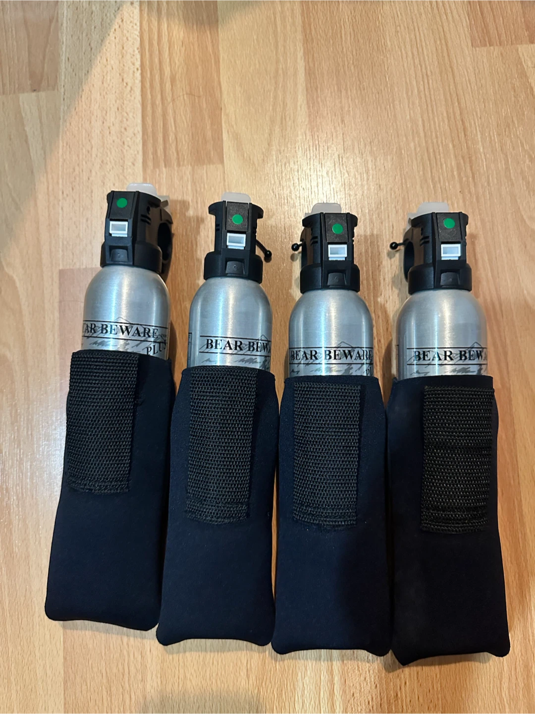 Bear Spray with Holster