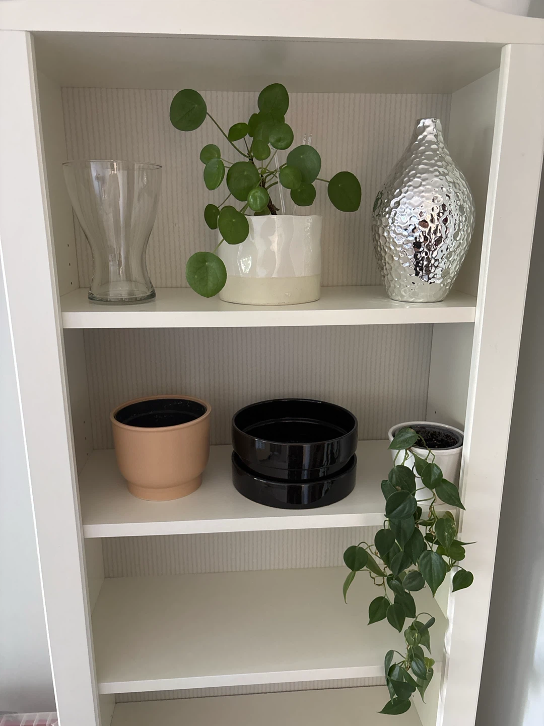 Free Assorted Decorative Pots and Vases