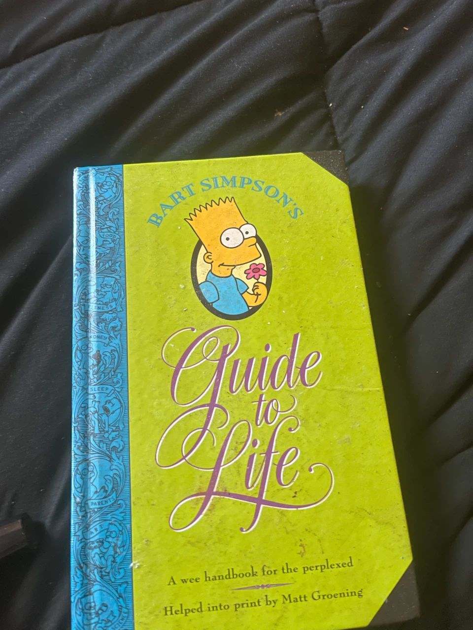 Bart Simpson's Guide to Life Book