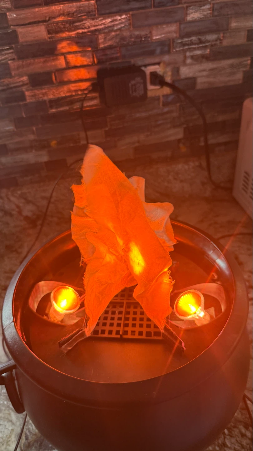 LED Flame Effect Cauldron Light - photo 2
