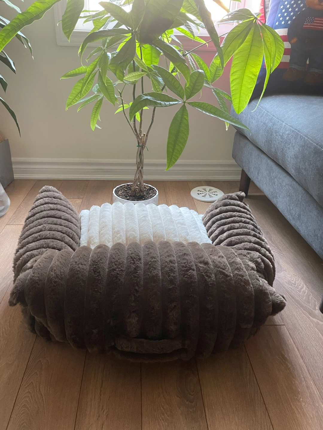 New Plush Pet Bed Sofa for cat or small dog - photo 2