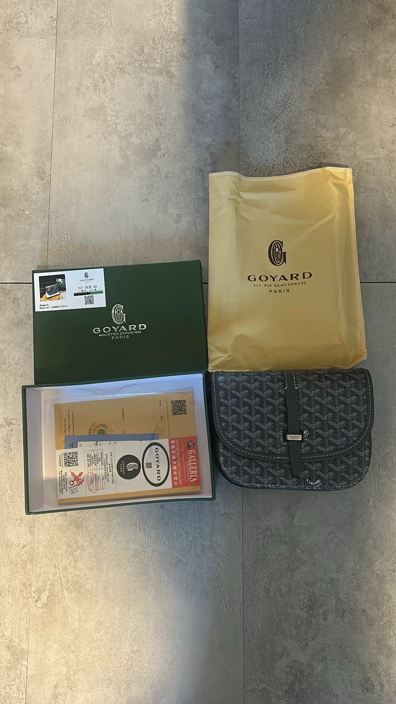 Grey Goyard side bag