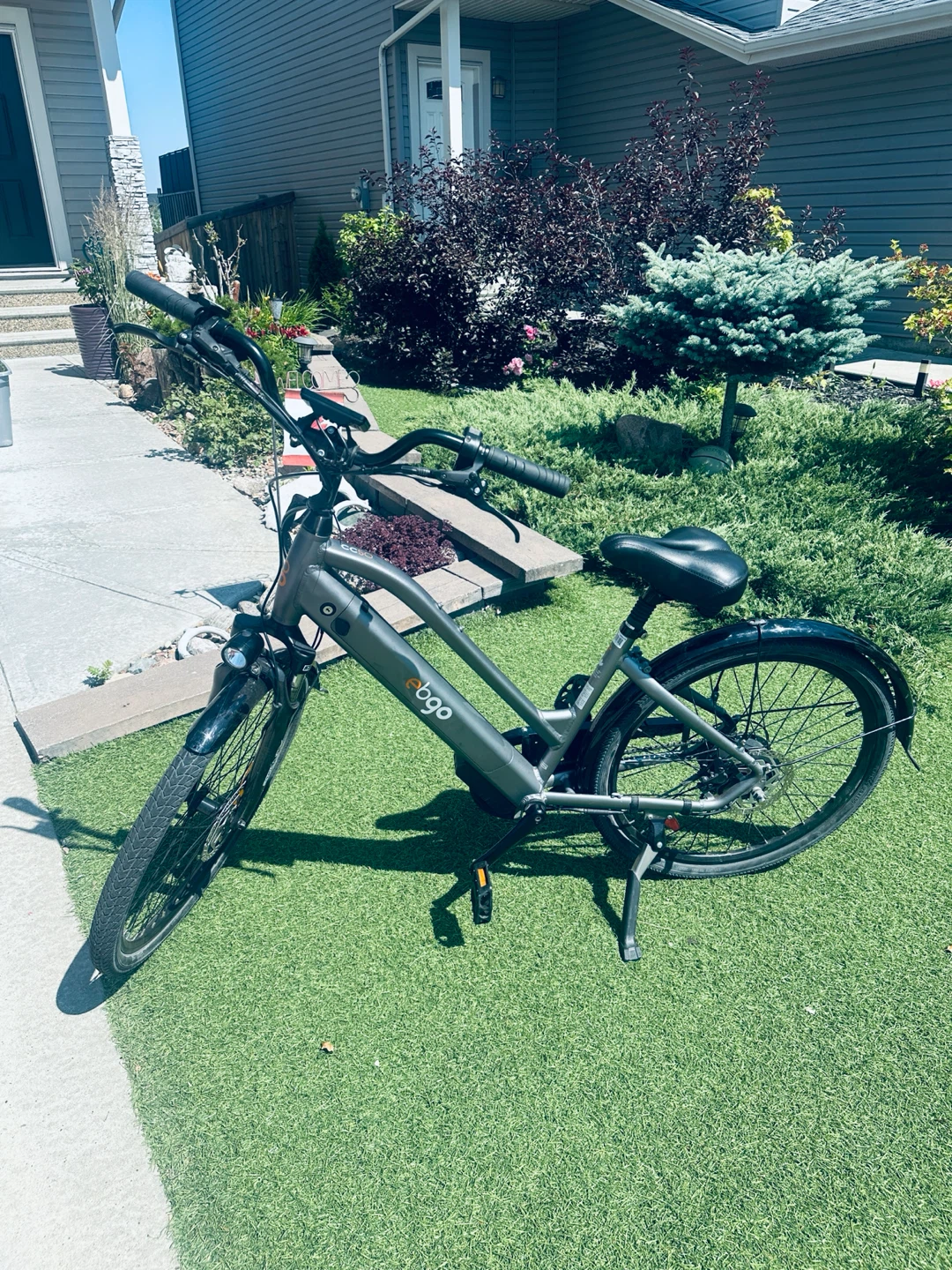 Ebgo CC50 Electric Bike- lightly used  - pu spruce