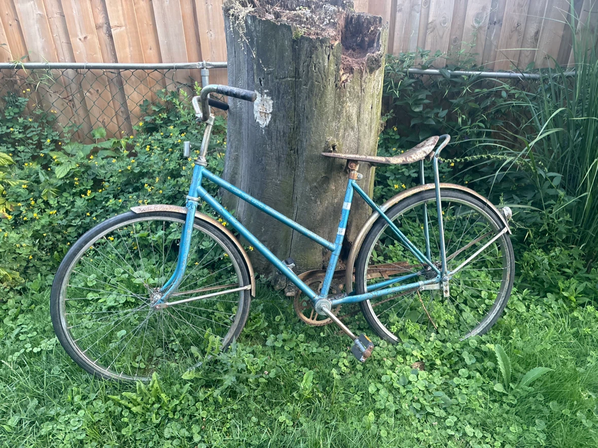 Vintage CCM Blue Bicycle
