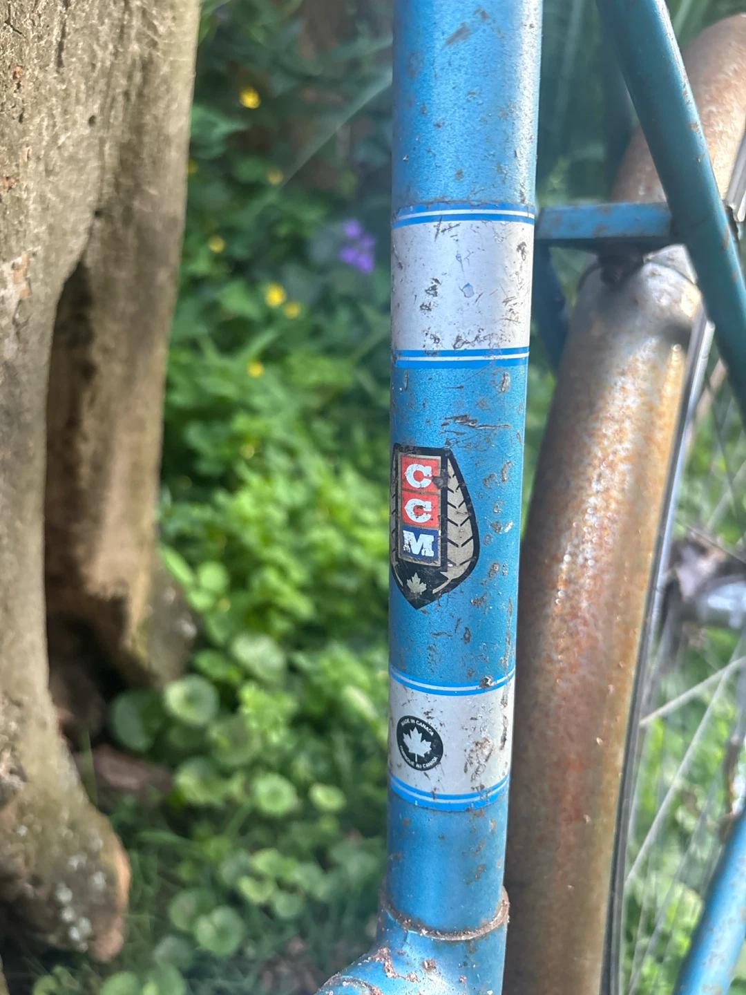 Vintage CCM Blue Bicycle - photo 2