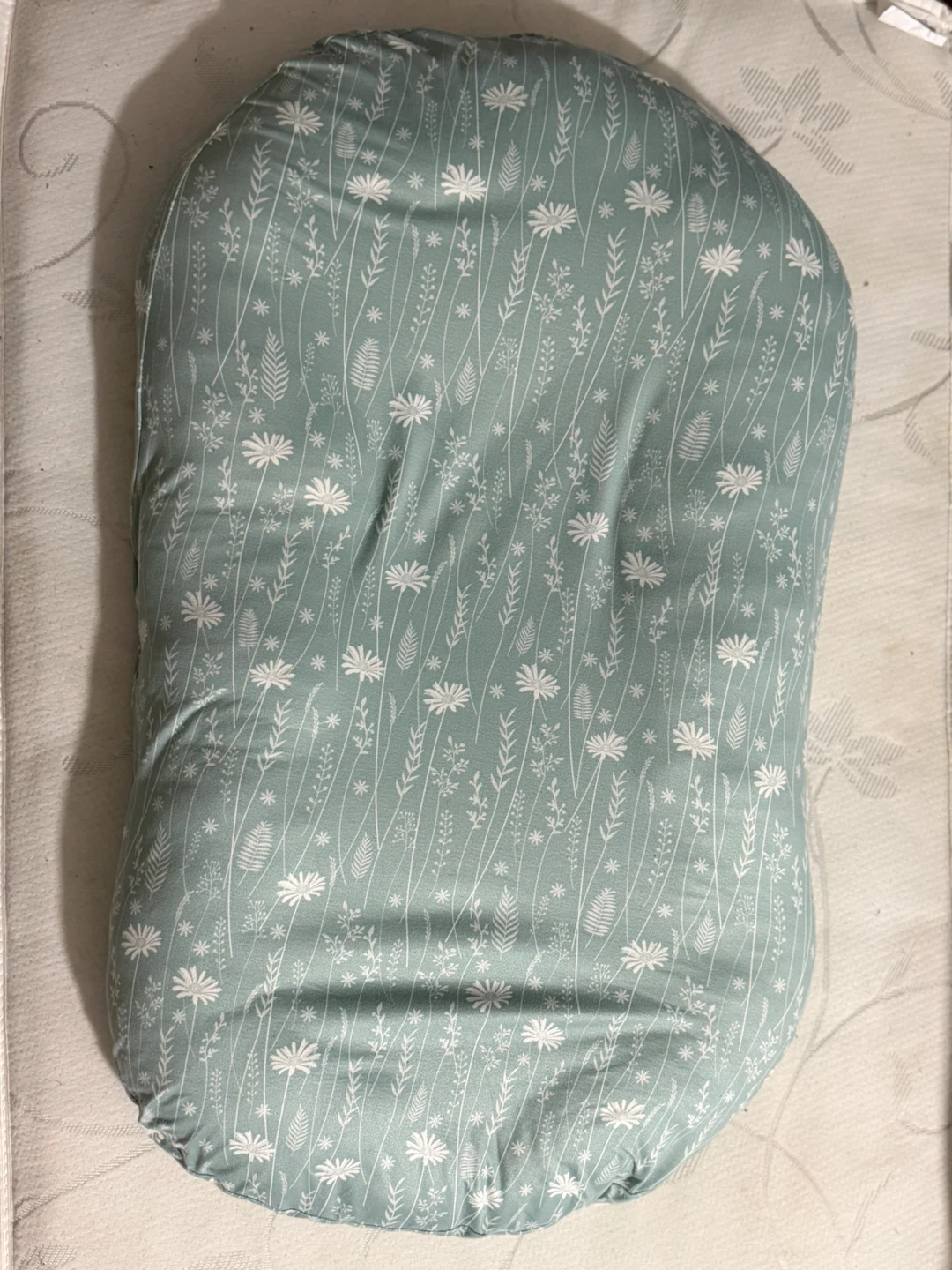 Snuggle Me Lounger/Nest