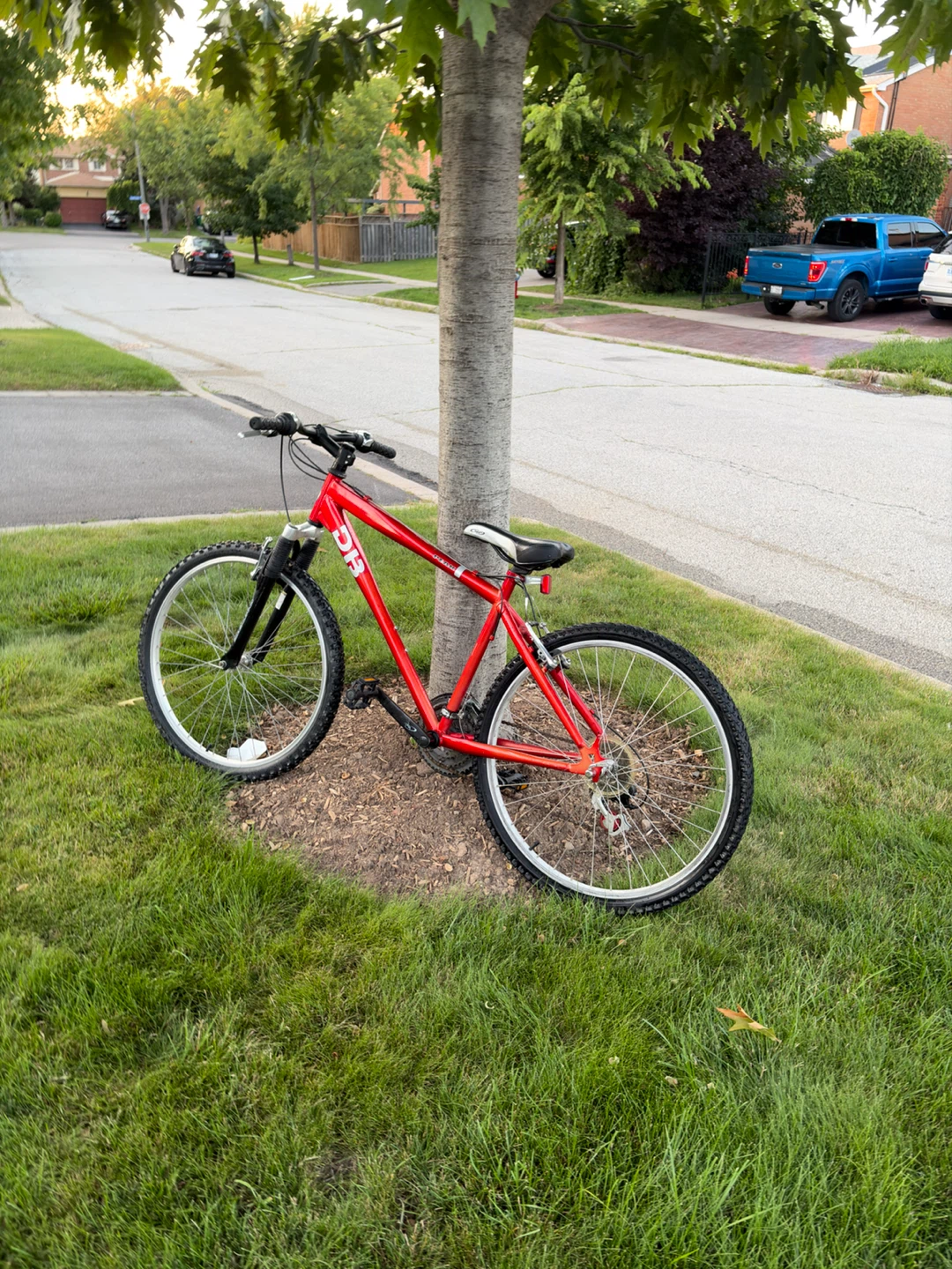 Red DiamondBack Mountain Bike
