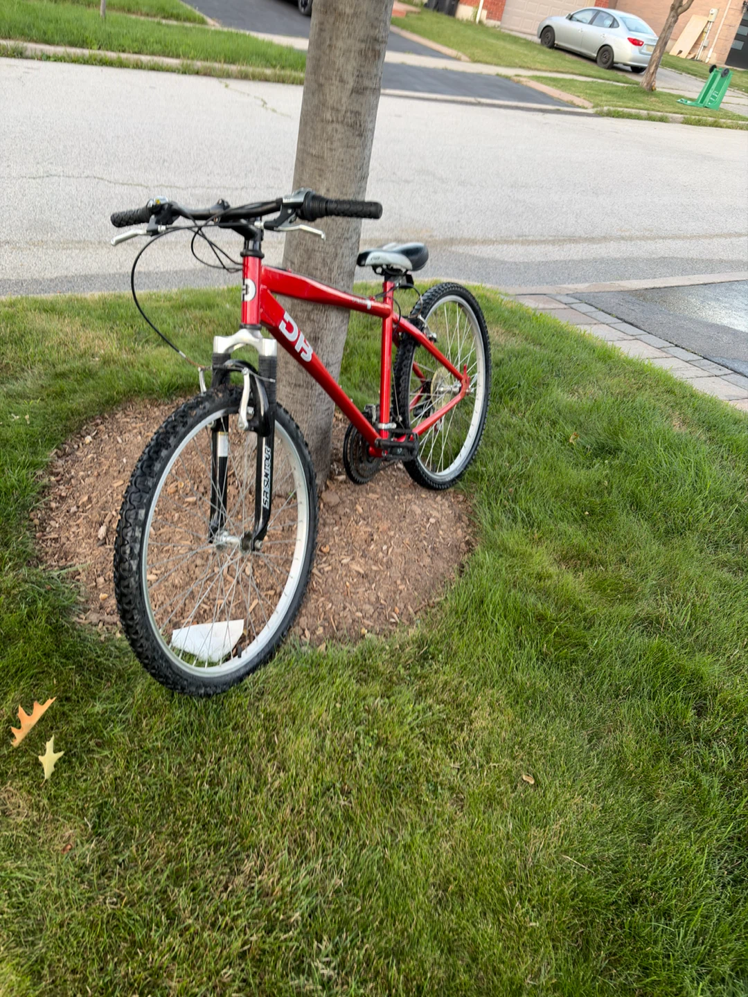 Red DiamondBack Mountain Bike - photo 2