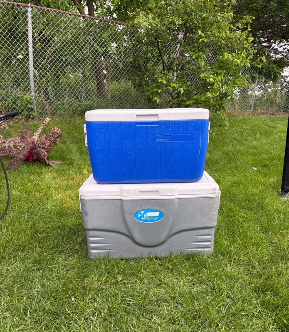 Coleman Coolers