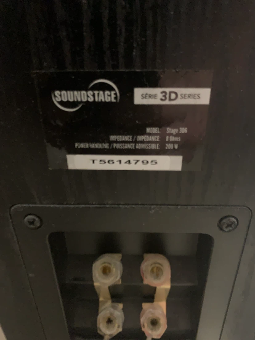 Soundstage speakers - photo 4