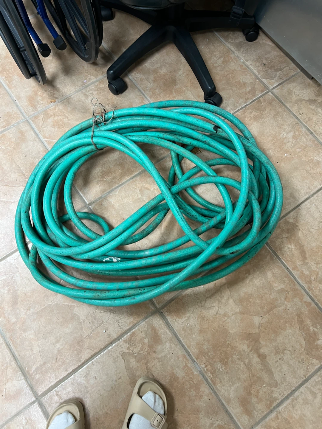Green Garden Hose