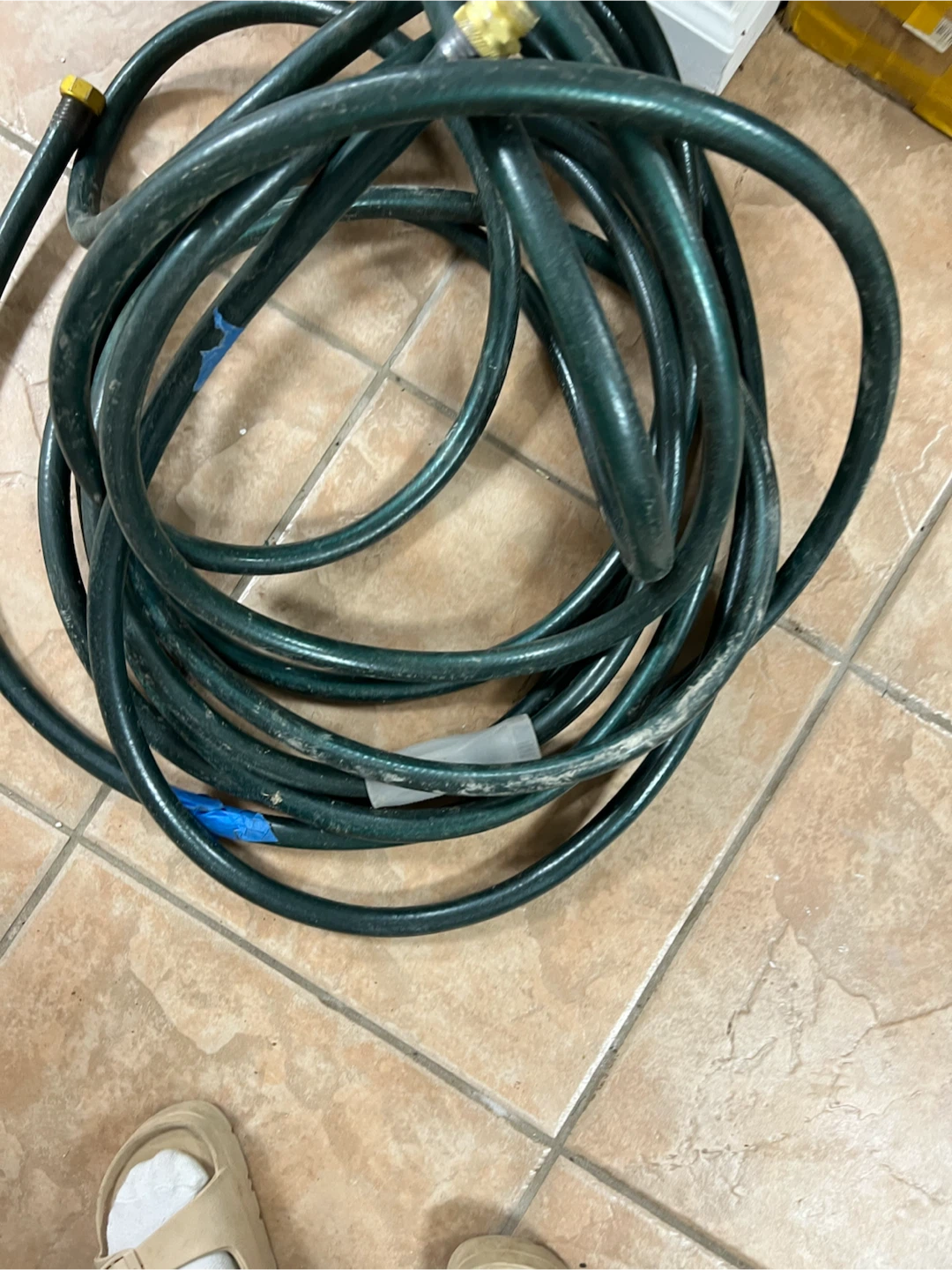 Green Garden Hose
