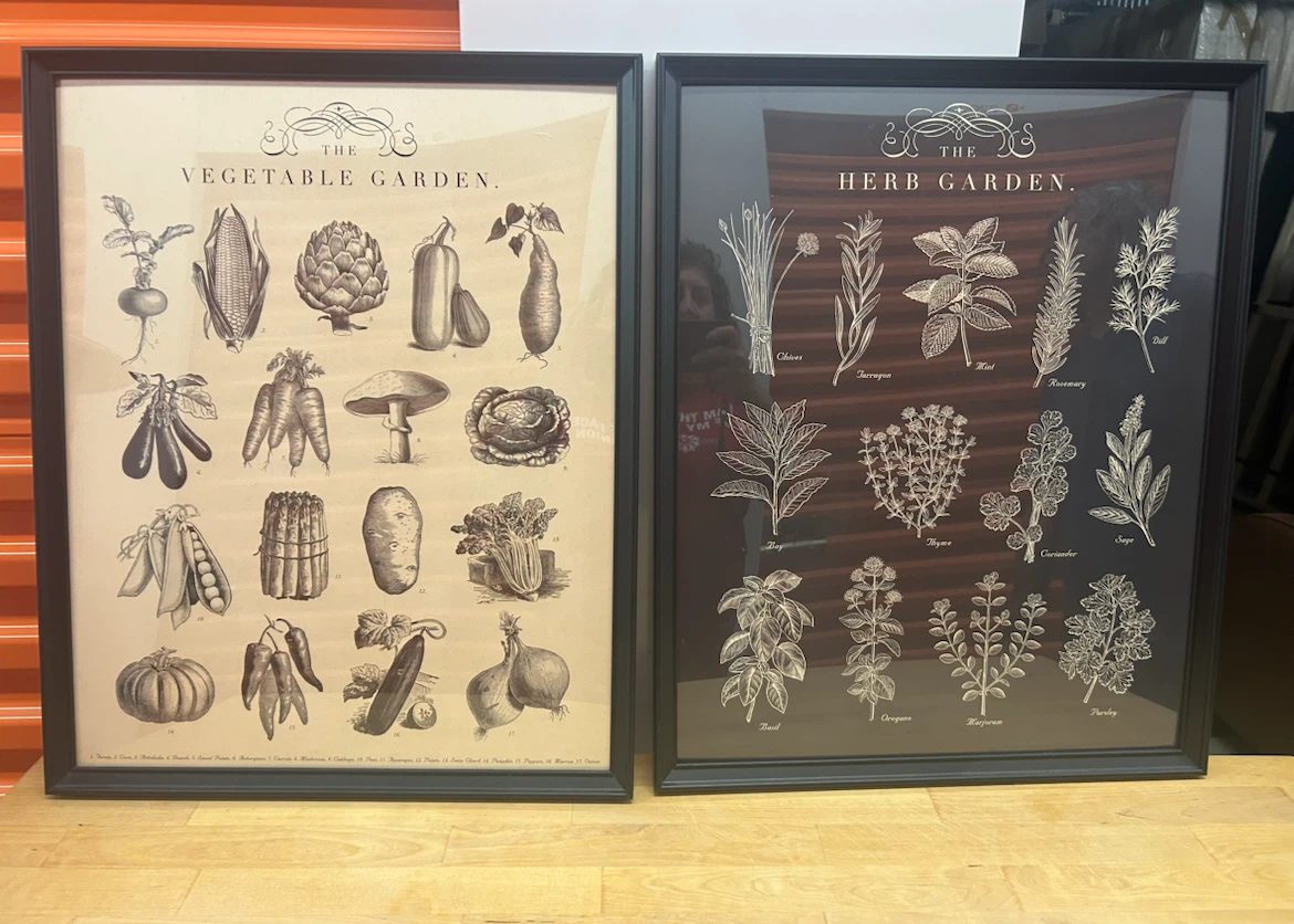 Framed Vegetable and Herb Garden Prints