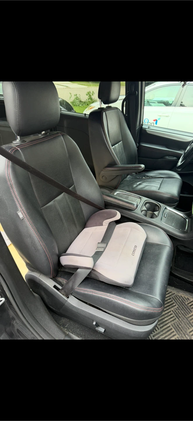 Cosco Booster CarSeat