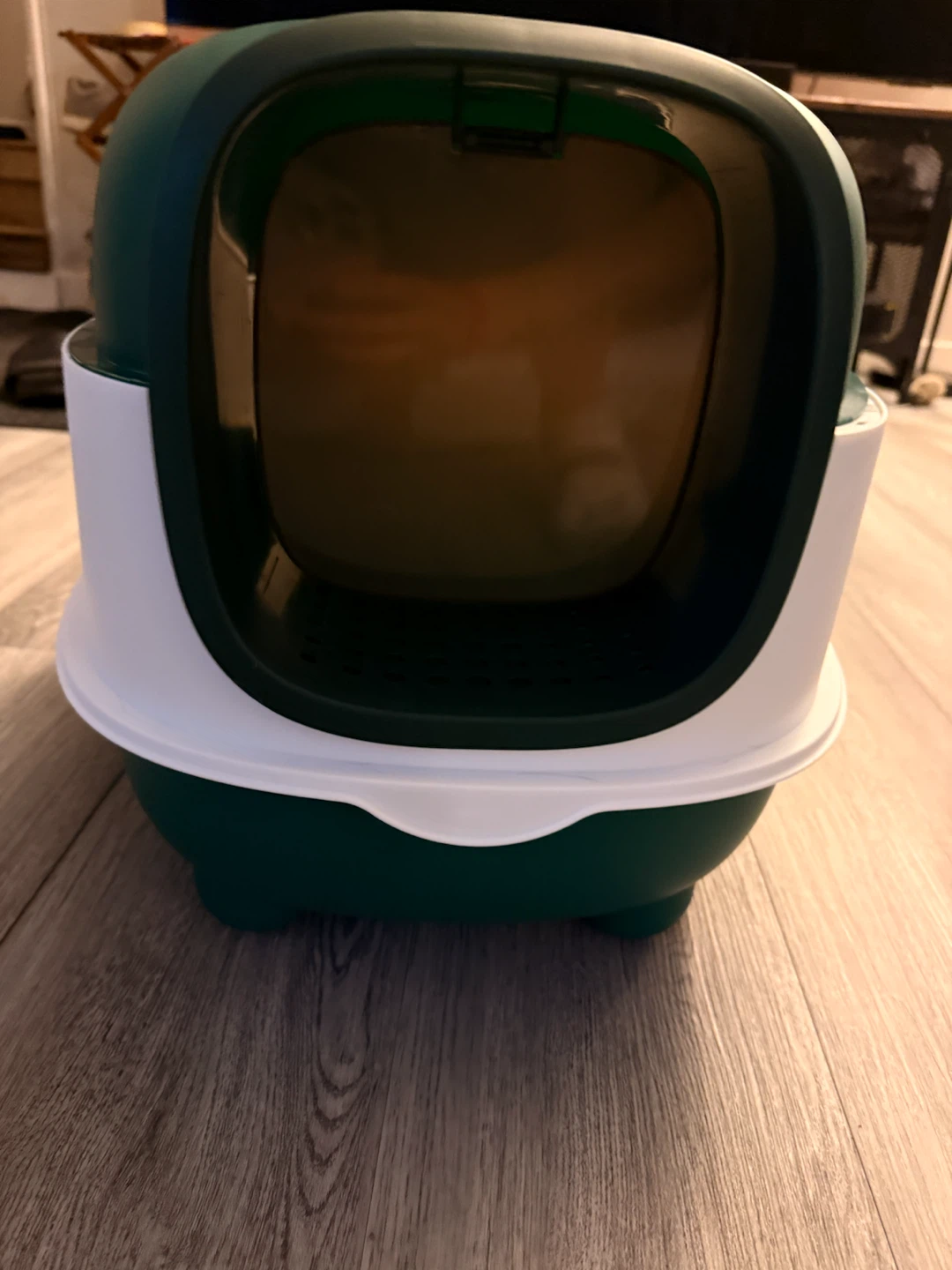 Cat Litter Box with Scoop - Dark Green - photo 4