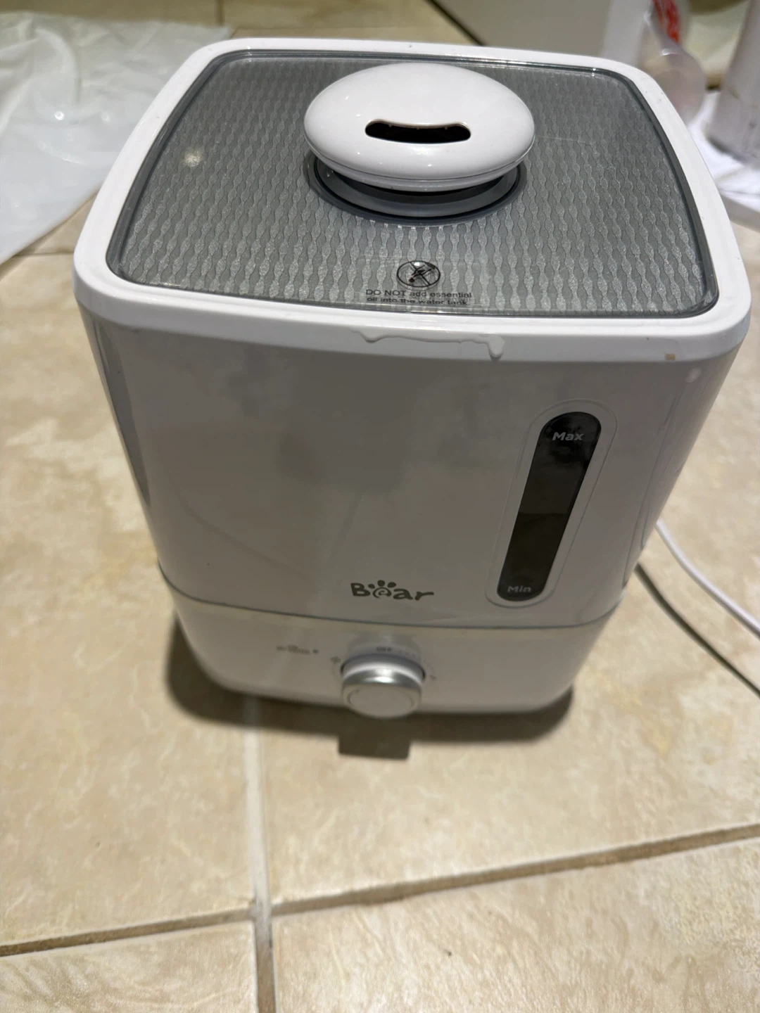 Bear Humidifier