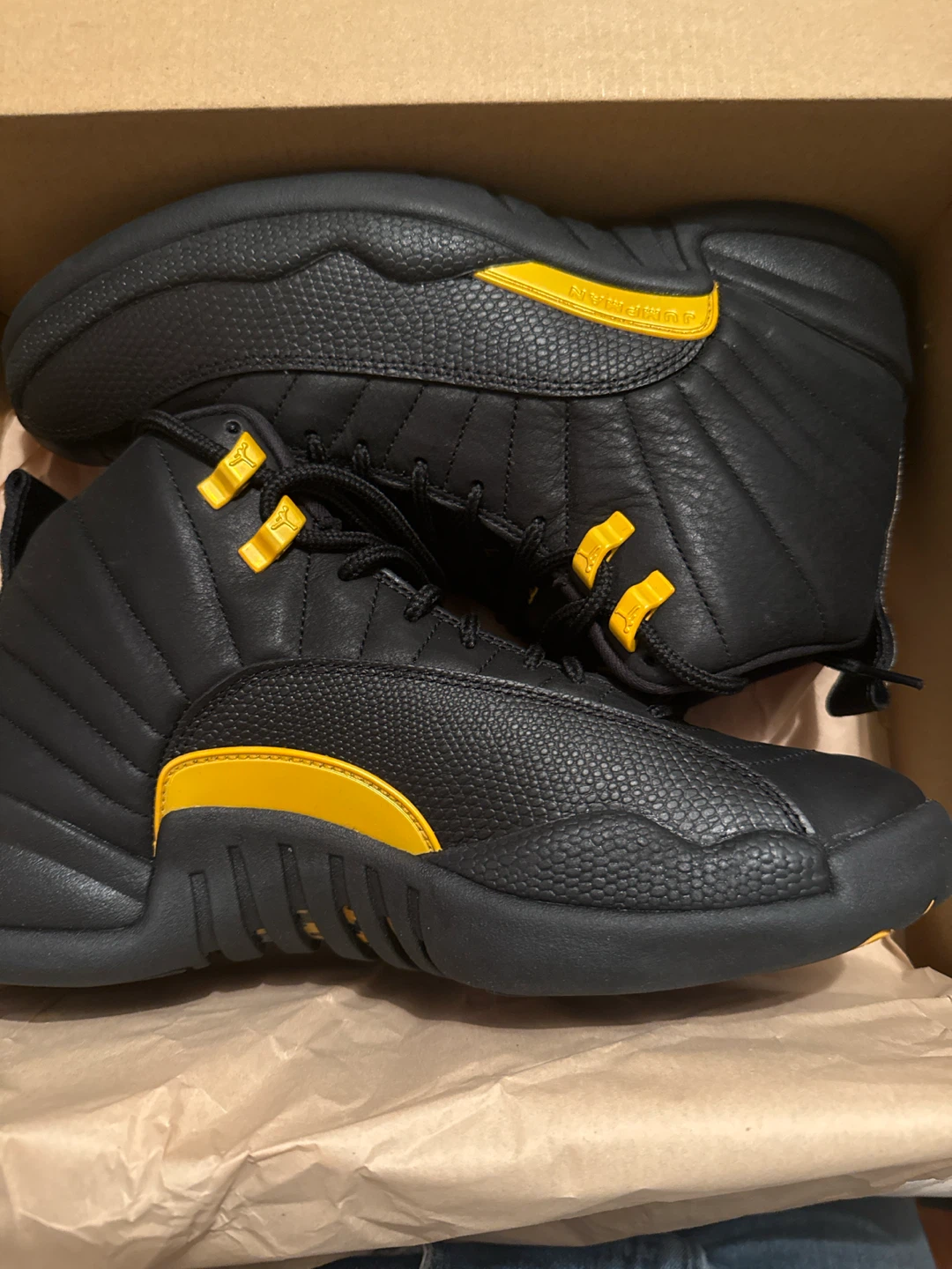 Jordan 12