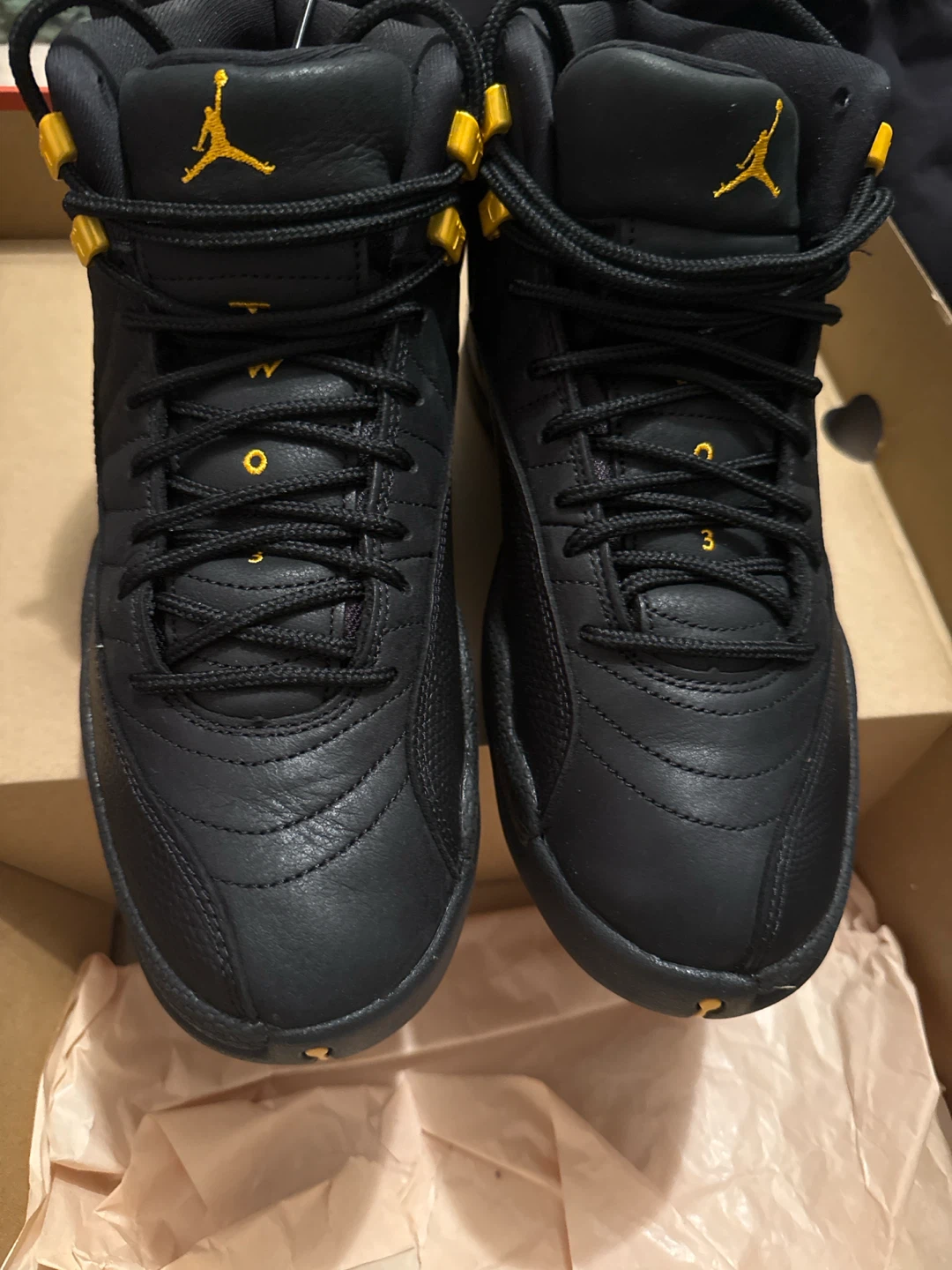 Jordan 12 - photo 3