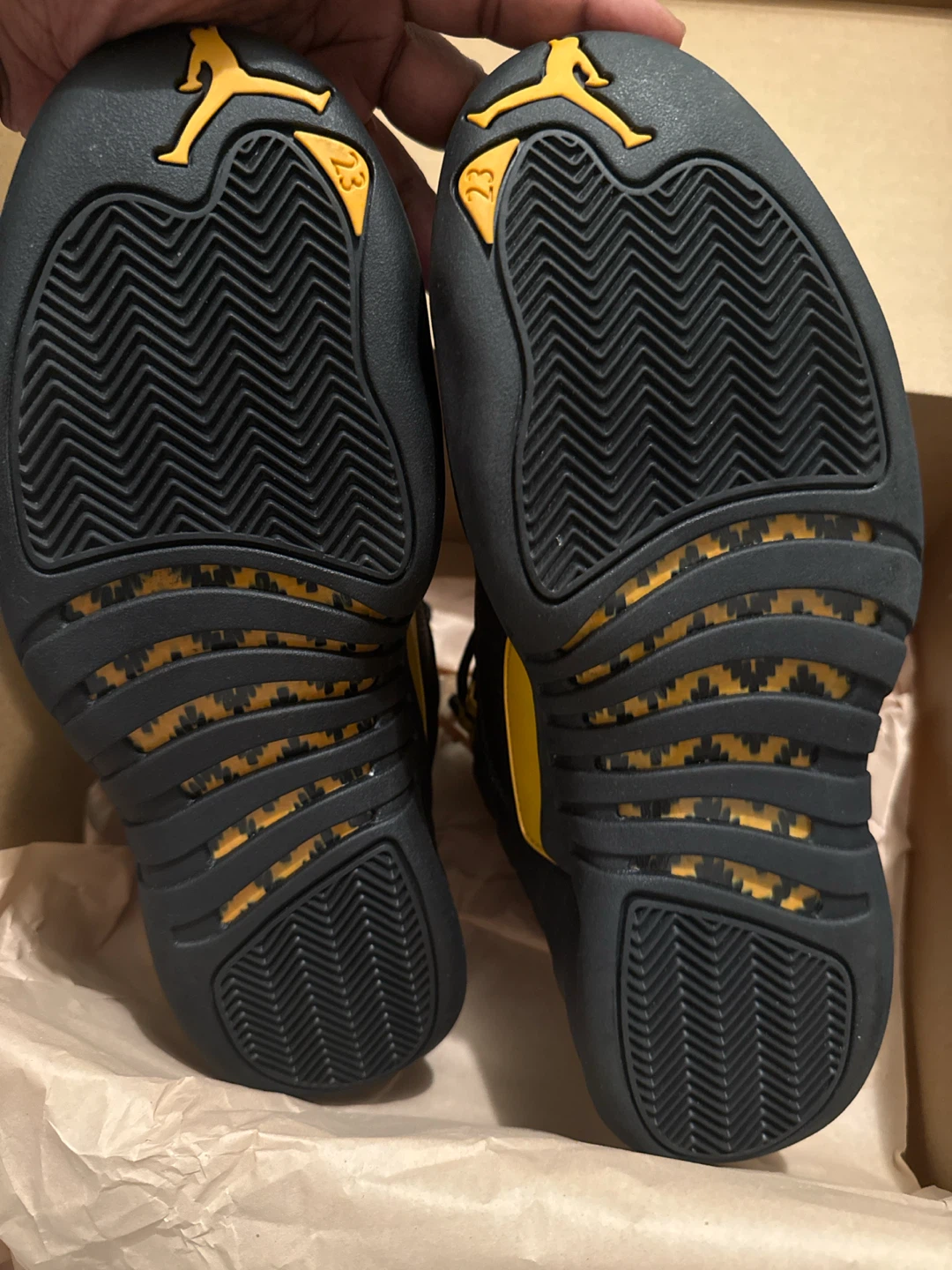 Jordan 12 - photo 4
