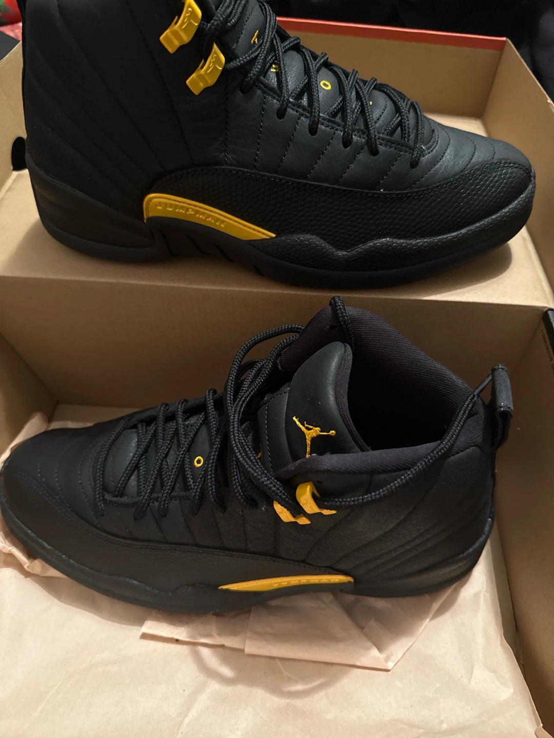 Jordan 12 - photo 5