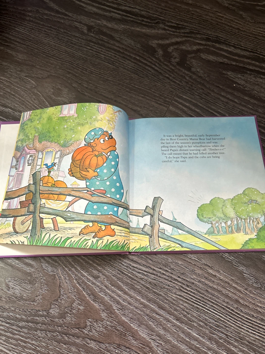The Berenstain Bears and Too Much Birthday Book - photo 3
