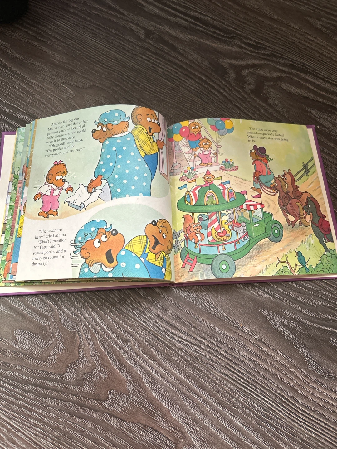 The Berenstain Bears and Too Much Birthday Book - photo 4