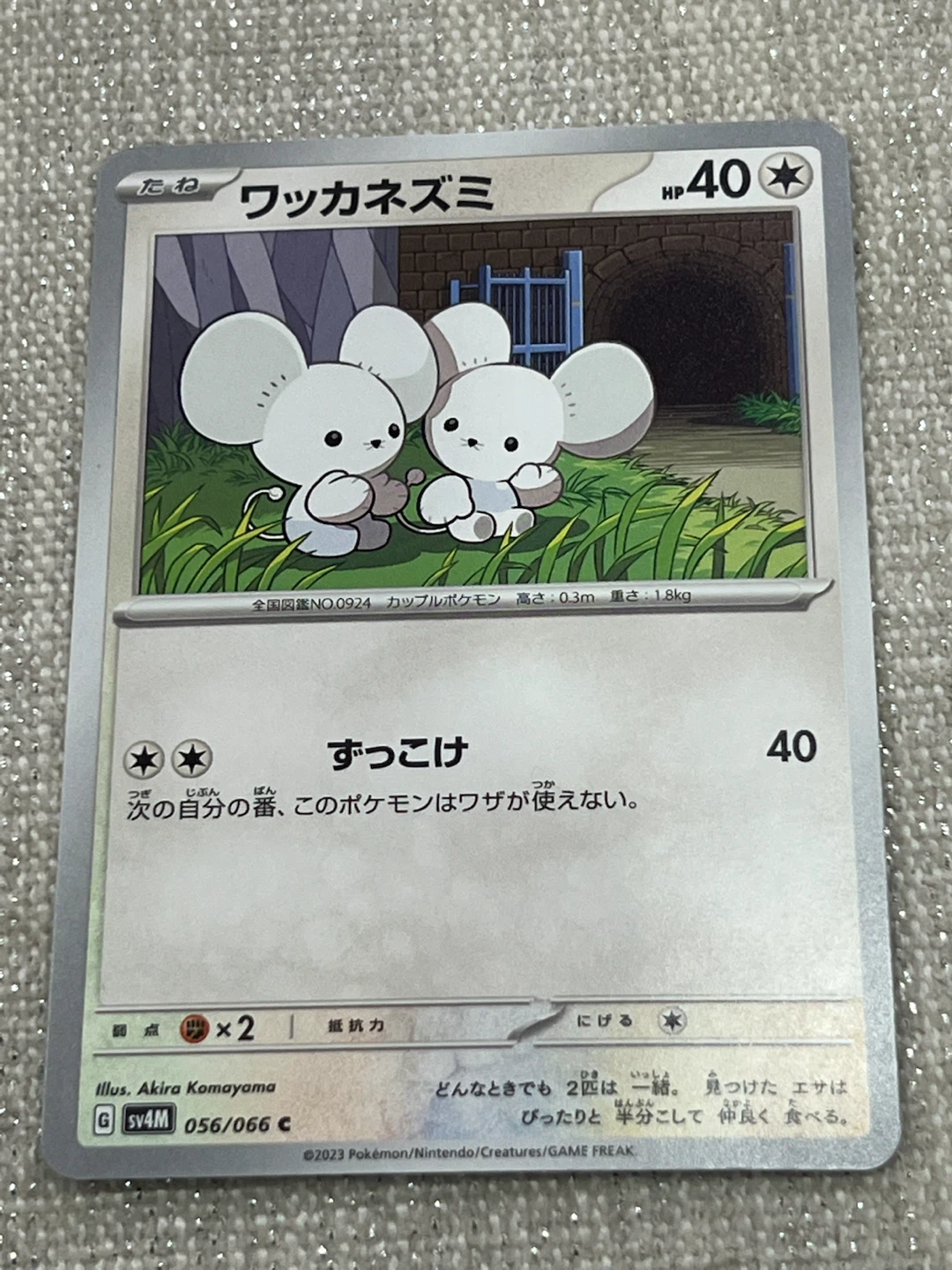 Pokemon Card - Wattrel Sv4M 056/066 C - photo 5