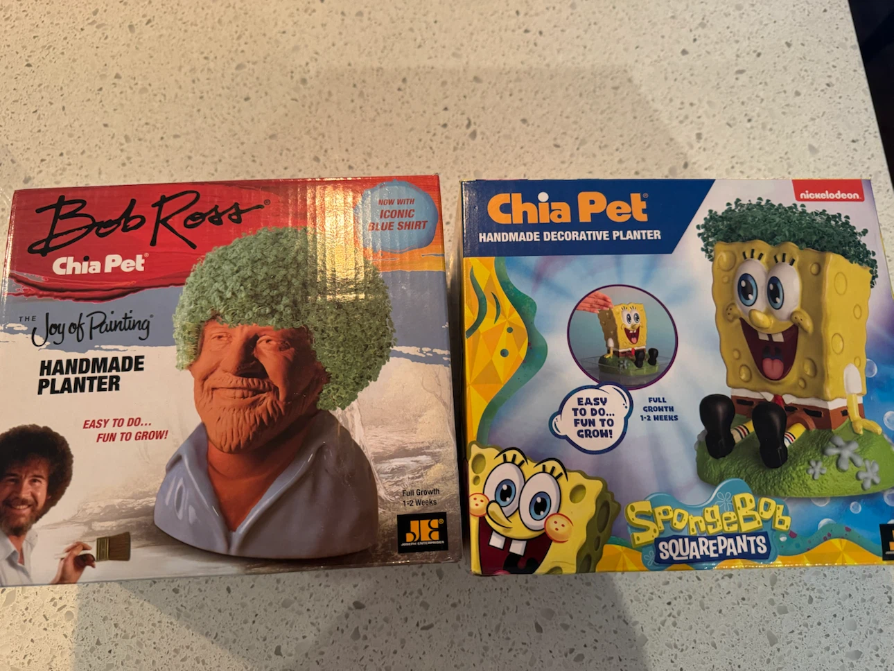 Bob Ross and Spongebob Chia Pet Handmade Planters